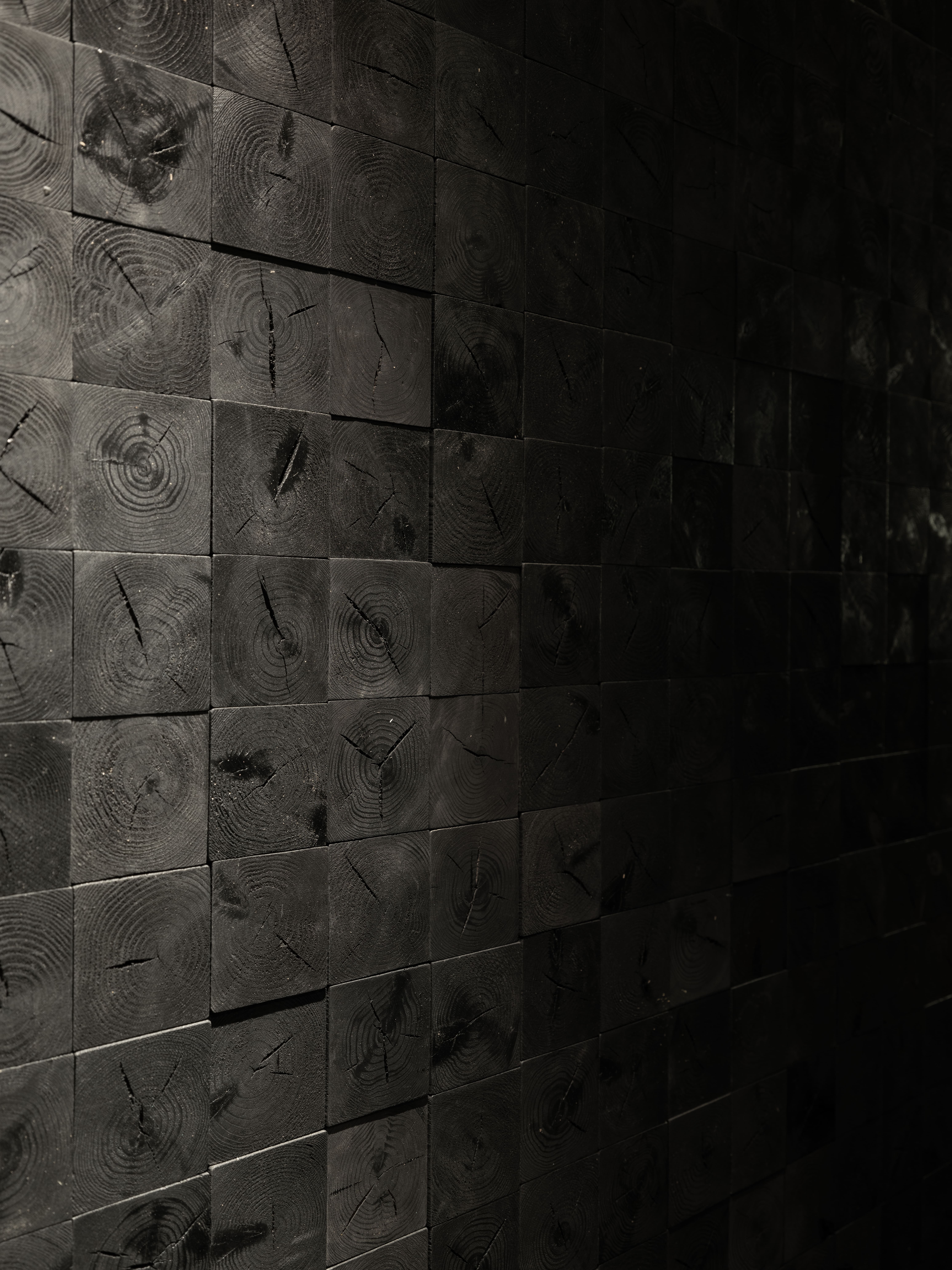 Split black stone cladding in raking light