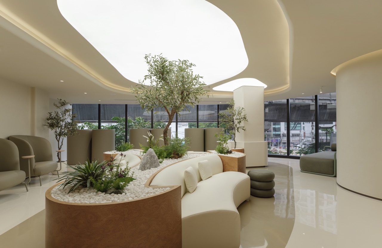 ส่วนพักคอย Hairtran Clinic — โซฟาโค้งรอบแปลงต้นไม้และต้นมะกอก ที่นั่งพนักโอบตัว และหน้าต่างสูงเต็มผนังที่มองเห็นถนน