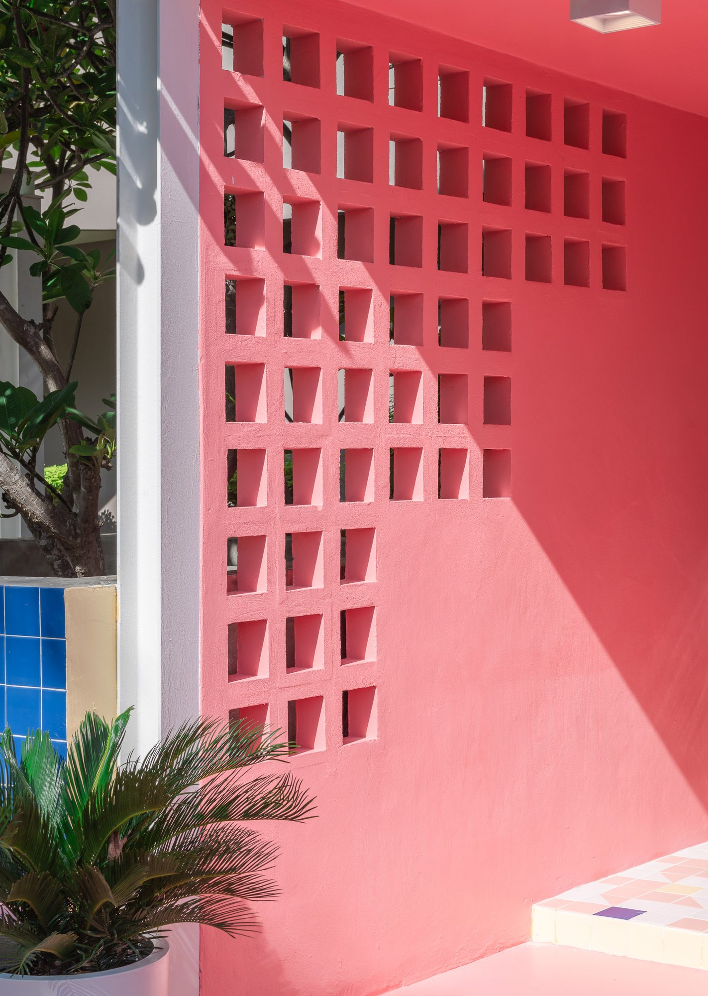 Coral pink breeze-block wall at the Sala Huahin bar pavilion, with a cycad in a white pot and a blue tiled planter